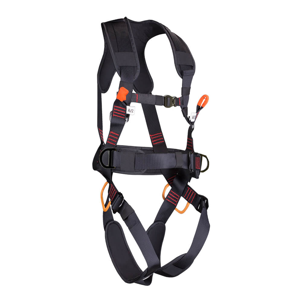 Arnes veleta plus
