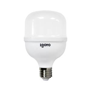 Foco de led alta potencia 30w LDD T100 F10530 Igoto