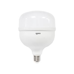 Foco de led alta potencia 50w LDD T140 F10550 Igoto
