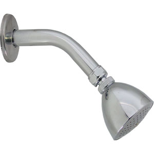 [44-G] Regadera con brazo redonda 02" laton cromada Genova 44G Rugo