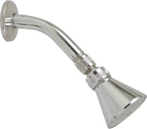 [5763ZN] Regadera con brazo redonda 02" zamac cromada roma 44R Rugo