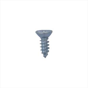 Pija Para Lamina Cabeza Plana Phillips #10 050Mm 2" Con 100Pz Vianti