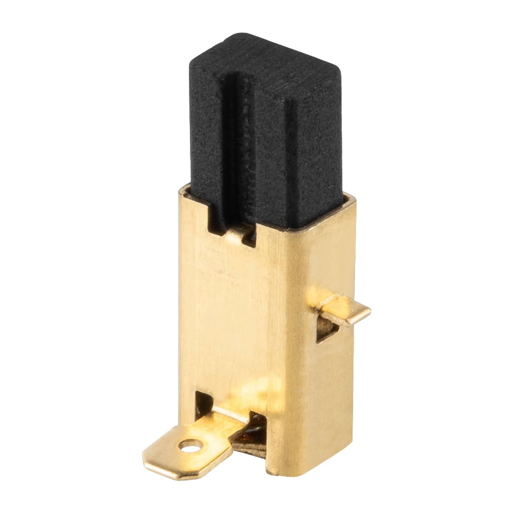 Bolsa con 2 carbones de repuesto para CEPEL-3-1/4N, TRUPER