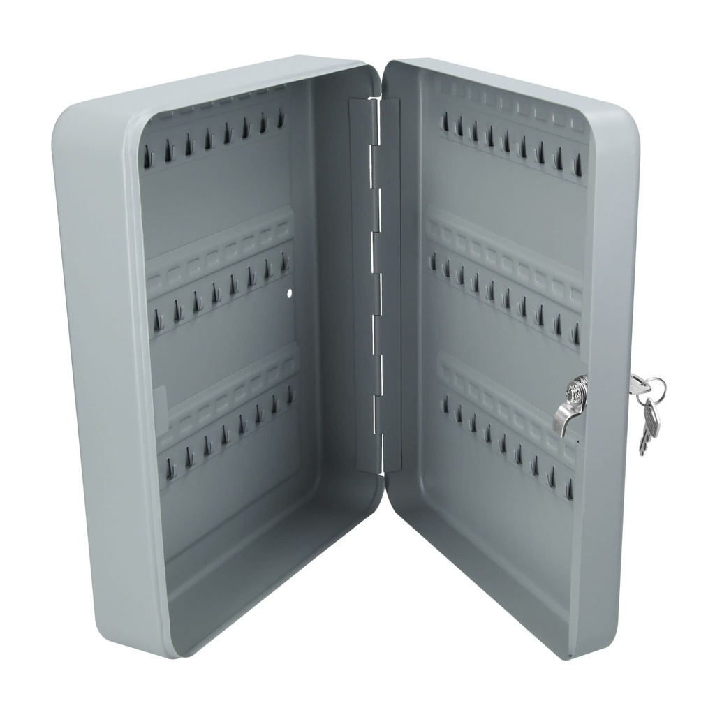[CALLA-60] Caja con 60 ganchos para llaves, HERMEX