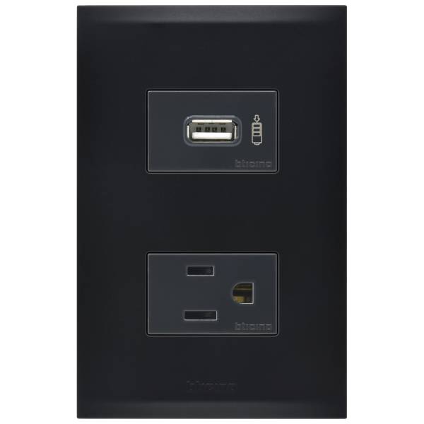 Placa 2 ventana con contacto 2p+t y contacto USB negro Forza 2.0 Bticino