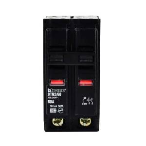 [1754ZN] Interruptor termomagnetico 2 polos 60a BTN2/60 Btplug Bticino