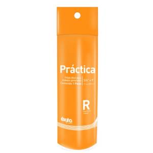 [214919ZN] Repuesto para rodillo liso 9" Practica Exito