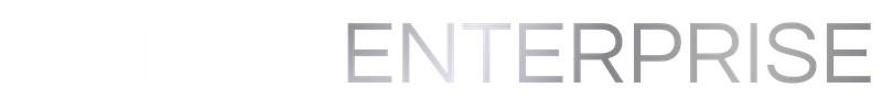 Zienen Enterprise